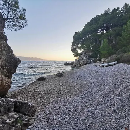 Apartmani 