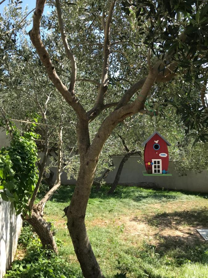Apartament Allegro