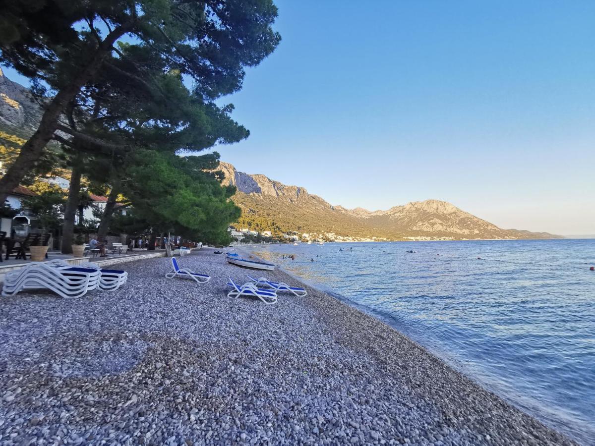Allegro Apartament *